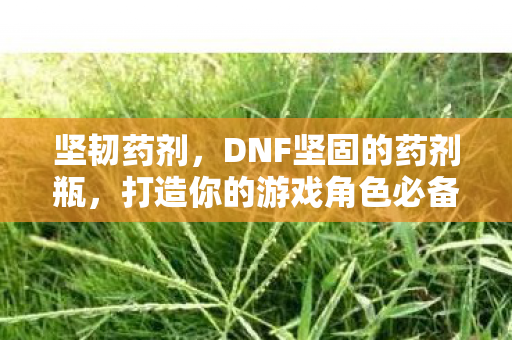 坚韧药剂,DNF坚固的药剂瓶,打造你的游戏角色必备神器 坚韧药剂,DNF坚固的药剂瓶,打造你的游戏角色必备神器