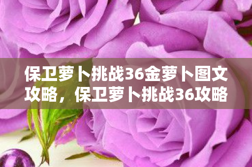 保卫萝卜挑战36金萝卜图文攻略,保卫萝卜挑战36攻略,金萝卜布阵图详解 保卫萝卜挑战36金萝卜图文攻略,保卫萝卜挑战36攻略,金萝卜布阵图详解