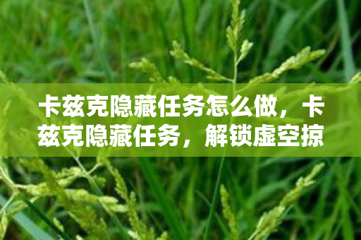 卡兹克隐藏任务怎么做,卡兹克隐藏任务,解锁虚空掠夺者的传奇故事 卡兹克隐藏任务怎么做,卡兹克隐藏任务,解锁虚空掠夺者的传奇故事