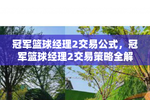 冠军篮球经理2交易公式,冠军篮球经理2交易策略全解析 冠军篮球经理2交易公式,冠军篮球经理2交易策略全解析