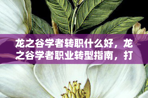 龙之谷学者转职什么好,龙之谷学者职业转型指南,打造你的专属学者之路 龙之谷学者转职什么好,龙之谷学者职业转型指南,打造你的专属学者之路