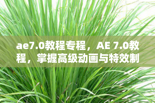 ae7.0教程专程,AE 7.0教程,掌握高级动画与特效制作技巧 ae7.0教程专程,AE 7.0教程,掌握高级动画与特效制作技巧