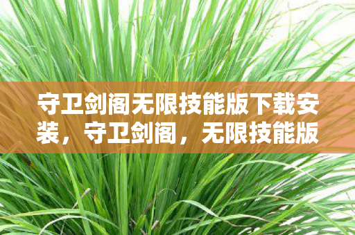 守卫剑阁无限技能版下载安装,守卫剑阁,无限技能版的策略与激情 守卫剑阁无限技能版下载安装,守卫剑阁,无限技能版的策略与激情