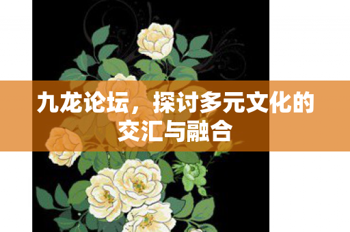九龙论坛,探讨多元文化的交汇与融合 九龙论坛,探讨多元文化的交汇与融合