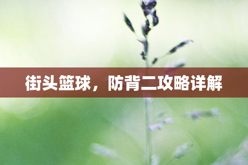 街头篮球,防背二攻略详解 街头篮球,防背二攻略详解