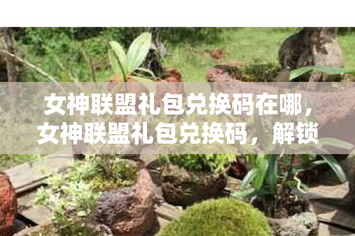 女神联盟礼包兑换码在哪,女神联盟礼包兑换码,解锁专属福利,畅享游戏乐趣 女神联盟礼包兑换码在哪,女神联盟礼包兑换码,解锁专属福利,畅享游戏乐趣