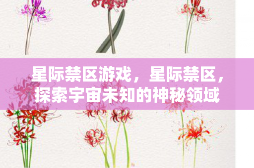 星际禁区游戏,星际禁区,探索宇宙未知的神秘领域 星际禁区游戏,星际禁区,探索宇宙未知的神秘领域