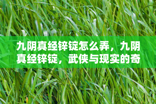 九阴真经锌锭怎么弄,九阴真经锌锭,武侠与现实的奇妙碰撞 九阴真经锌锭怎么弄,九阴真经锌锭,武侠与现实的奇妙碰撞
