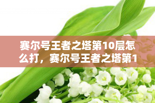 赛尔号王者之塔第10层怎么打,赛尔号王者之塔第10层,挑战与荣耀的巅峰 赛尔号王者之塔第10层怎么打,赛尔号王者之塔第10层,挑战与荣耀的巅峰