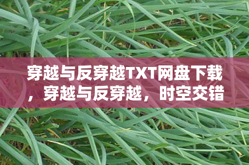 穿越与反穿越TXT网盘下载,穿越与反穿越,时空交错的奇幻之旅 穿越与反穿越TXT网盘下载,穿越与反穿越,时空交错的奇幻之旅