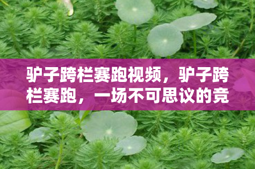 驴子跨栏赛跑视频,驴子跨栏赛跑,一场不可思议的竞技 驴子跨栏赛跑视频,驴子跨栏赛跑,一场不可思议的竞技