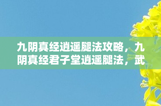 九阴真经逍遥腿法攻略，九阴真经君子堂逍遥腿法，武侠世界中的绝世轻功