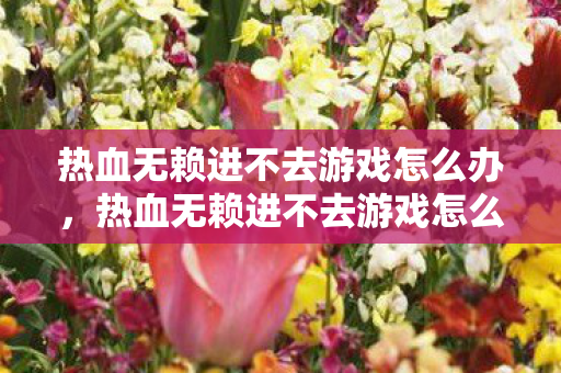 热血无赖进不去游戏怎么办,热血无赖进不去游戏怎么办?解决方法大揭秘! 热血无赖进不去游戏怎么办,热血无赖进不去游戏怎么办?解决方法大揭秘!