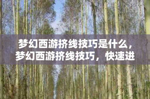 梦幻西游挤线技巧是什么,梦幻西游挤线技巧,快速进入游戏的秘诀 梦幻西游挤线技巧是什么,梦幻西游挤线技巧,快速进入游戏的秘诀