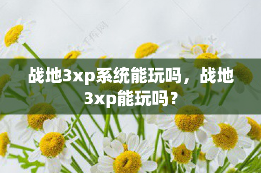 战地3xp系统能玩吗，战地3xp能玩吗？