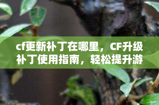 cf更新补丁在哪里,CF升级补丁使用指南,轻松提升游戏体验 cf更新补丁在哪里,CF升级补丁使用指南,轻松提升游戏体验