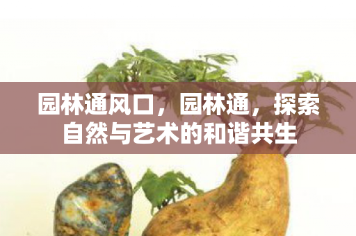 园林通风口,园林通,探索自然与艺术的和谐共生 园林通风口,园林通,探索自然与艺术的和谐共生