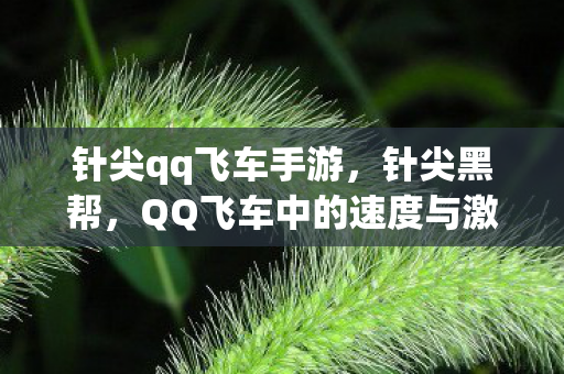 针尖qq飞车手游,针尖黑帮,QQ飞车中的速度与激情 针尖qq飞车手游,针尖黑帮,QQ飞车中的速度与激情