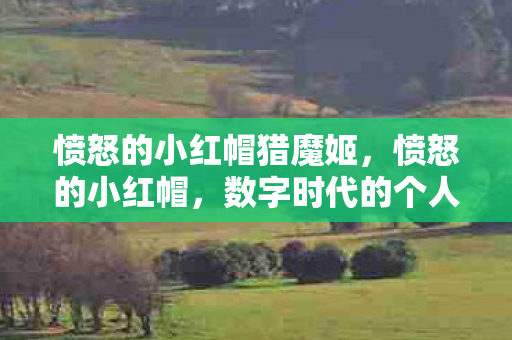 愤怒的小红帽猎魔姬，愤怒的小红帽，数字时代的个人品牌与自我表达
