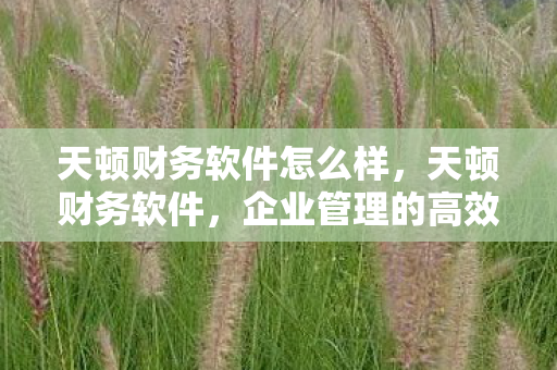 天顿财务软件怎么样,天顿财务软件,企业管理的高效助手 天顿财务软件怎么样,天顿财务软件,企业管理的高效助手