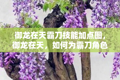 御龙在天霸刀技能加点图,御龙在天,如何为霸刀角色加点技能? 御龙在天霸刀技能加点图,御龙在天,如何为霸刀角色加点技能?