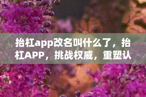抬杠app改名叫什么了,抬杠APP,挑战权威,重塑认知的社交新平台 抬杠app改名叫什么了,抬杠APP,挑战权威,重塑认知的社交新平台
