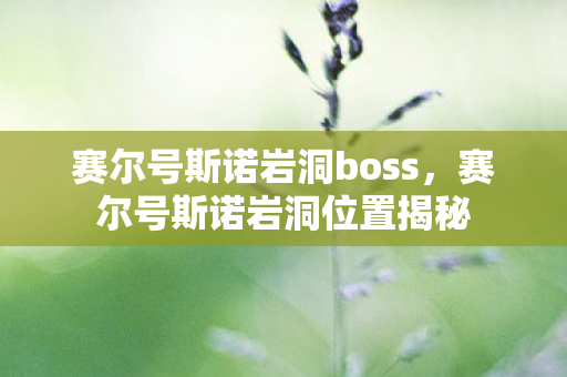 赛尔号斯诺岩洞boss,赛尔号斯诺岩洞位置揭秘 赛尔号斯诺岩洞boss,赛尔号斯诺岩洞位置揭秘