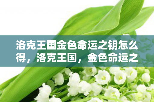 洛克王国金色命运之钥怎么得,洛克王国,金色命运之钥的传奇故事 洛克王国金色命运之钥怎么得,洛克王国,金色命运之钥的传奇故事