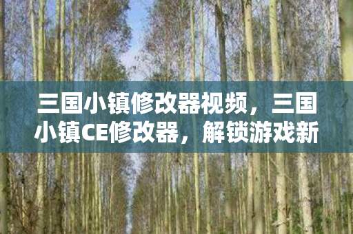 三国小镇修改器视频,三国小镇CE修改器,解锁游戏新境界的利器 三国小镇修改器视频,三国小镇CE修改器,解锁游戏新境界的利器