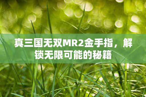 真三国无双MR2金手指,解锁无限可能的秘籍 真三国无双MR2金手指,解锁无限可能的秘籍