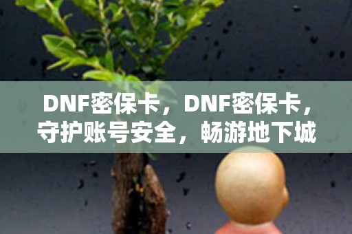 DNF密保卡,DNF密保卡,守护账号安全,畅游地下城世界 DNF密保卡,DNF密保卡,守护账号安全,畅游地下城世界
