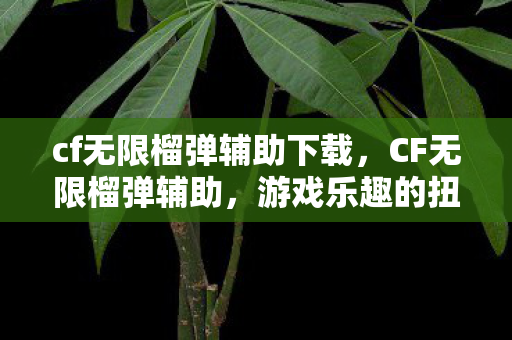 cf无限榴弹辅助下载,CF无限榴弹辅助,游戏乐趣的扭曲与反思 cf无限榴弹辅助下载,CF无限榴弹辅助,游戏乐趣的扭曲与反思