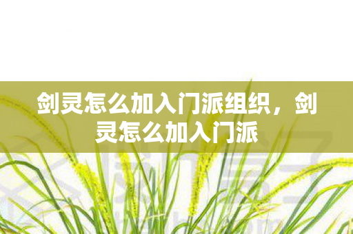 剑灵怎么加入门派组织,剑灵怎么加入门派 剑灵怎么加入门派组织,剑灵怎么加入门派
