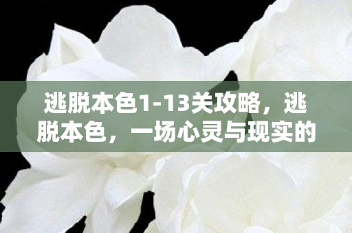 逃脱本色1-13关攻略,逃脱本色,一场心灵与现实的博弈 逃脱本色1-13关攻略,逃脱本色,一场心灵与现实的博弈