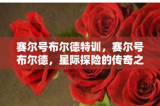 赛尔号布尔德特训,赛尔号布尔德,星际探险的传奇之旅 赛尔号布尔德特训,赛尔号布尔德,星际探险的传奇之旅