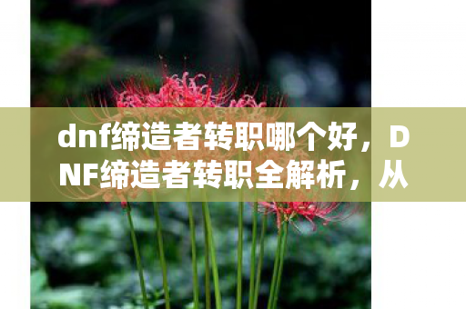 dnf缔造者转职哪个好,DNF缔造者转职全解析,从入门到精通的转型指南 dnf缔造者转职哪个好,DNF缔造者转职全解析,从入门到精通的转型指南