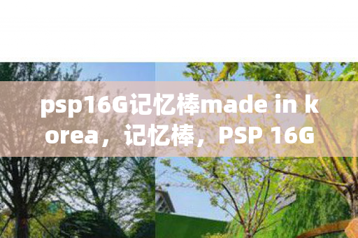 psp16G记忆棒made in korea,记忆棒,PSP 16GB的存储新选择 psp16G记忆棒made in korea,记忆棒,PSP 16GB的存储新选择