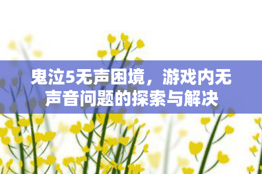 鬼泣5无声困境,游戏内无声音问题的探索与解决 鬼泣5无声困境,游戏内无声音问题的探索与解决