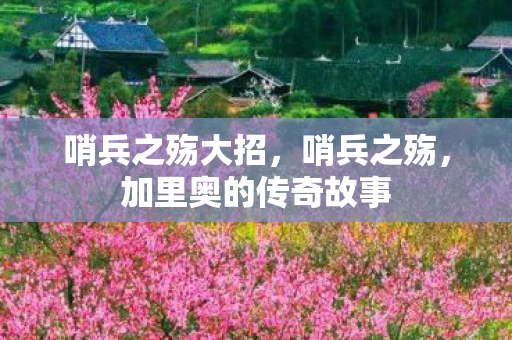 哨兵之殇大招,哨兵之殇,加里奥的传奇故事 哨兵之殇大招,哨兵之殇,加里奥的传奇故事