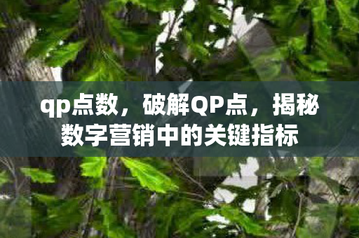 qp点数,破解QP点,揭秘数字营销中的关键指标 qp点数,破解QP点,揭秘数字营销中的关键指标