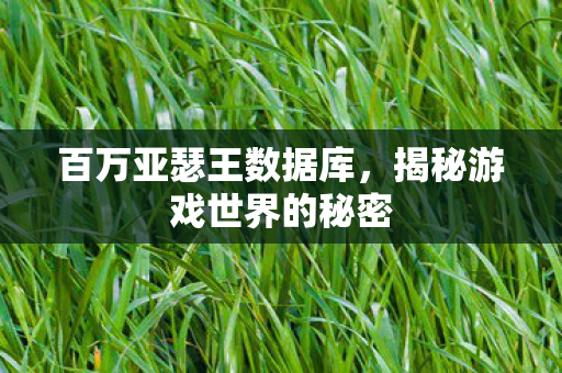 百万亚瑟王数据库,揭秘游戏世界的秘密 百万亚瑟王数据库,揭秘游戏世界的秘密