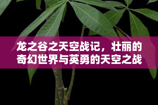 龙之谷之天空战记,壮丽的奇幻世界与英勇的天空之战 龙之谷之天空战记,壮丽的奇幻世界与英勇的天空之战