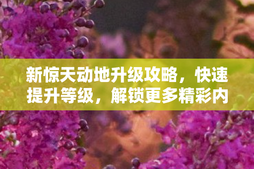 新惊天动地升级攻略,快速提升等级,解锁更多精彩内容 新惊天动地升级攻略,快速提升等级,解锁更多精彩内容