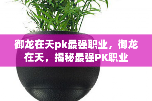 御龙在天pk最强职业,御龙在天,揭秘最强PK职业 御龙在天pk最强职业,御龙在天,揭秘最强PK职业