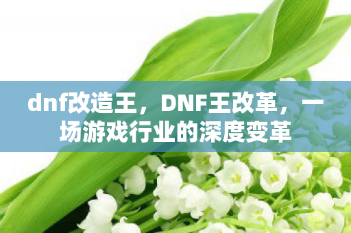 dnf改造王，DNF王改革，一场游戏行业的深度变革