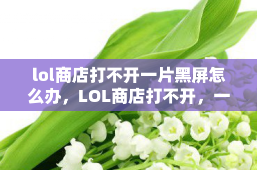 lol商店打不开一片黑屏怎么办，LOL商店打不开，一片黑？别急，这里有解决办法！