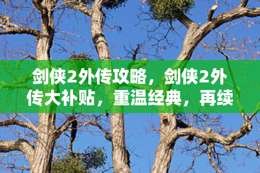 剑侠2外传攻略,剑侠2外传大补贴,重温经典,再续江湖情缘 剑侠2外传攻略,剑侠2外传大补贴,重温经典,再续江湖情缘