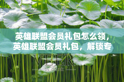 英雄联盟会员礼包怎么领,英雄联盟会员礼包,解锁专属特权,畅享游戏乐趣 英雄联盟会员礼包怎么领,英雄联盟会员礼包,解锁专属特权,畅享游戏乐趣