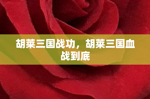 胡莱三国战功,胡莱三国血战到底 胡莱三国战功,胡莱三国血战到底