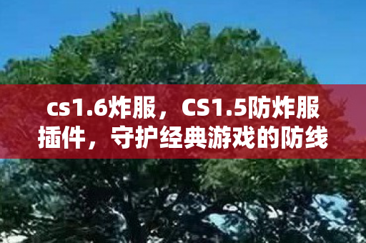 cs1.6炸服,CS1.5防炸服插件,守护经典游戏的防线 cs1.6炸服,CS1.5防炸服插件,守护经典游戏的防线